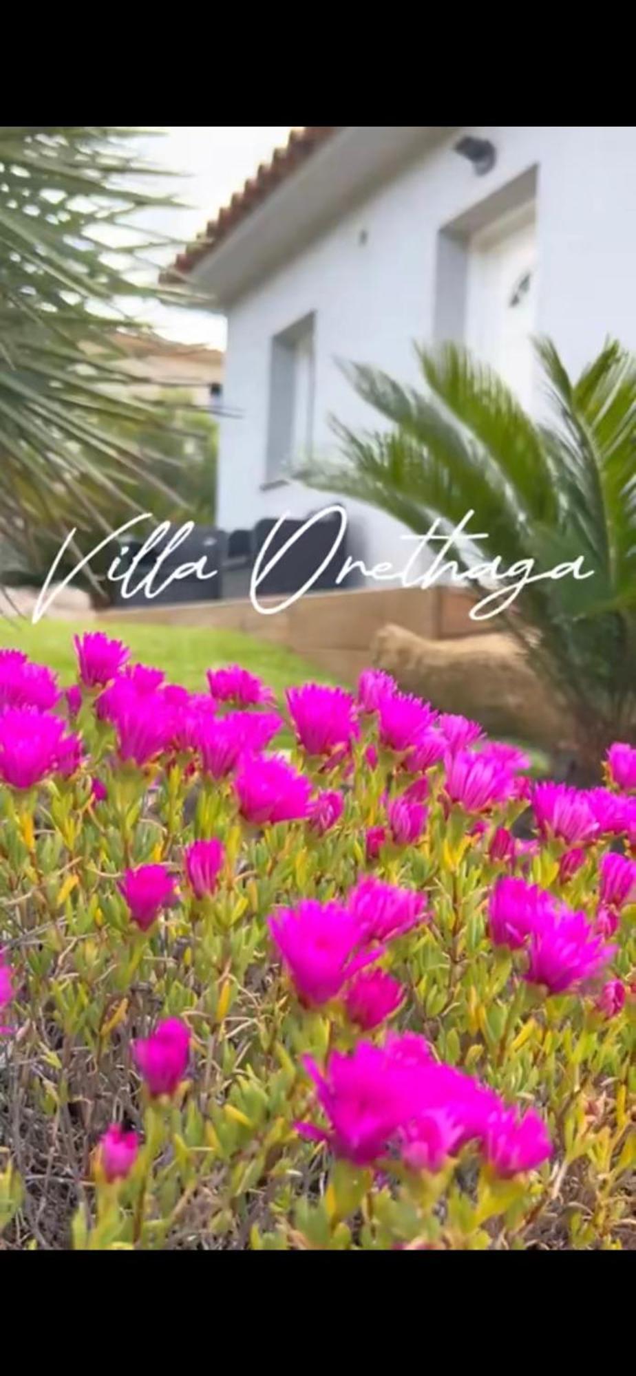 Villa Orethaga Piscine 10 Pers Porto Vecchio 外观 照片