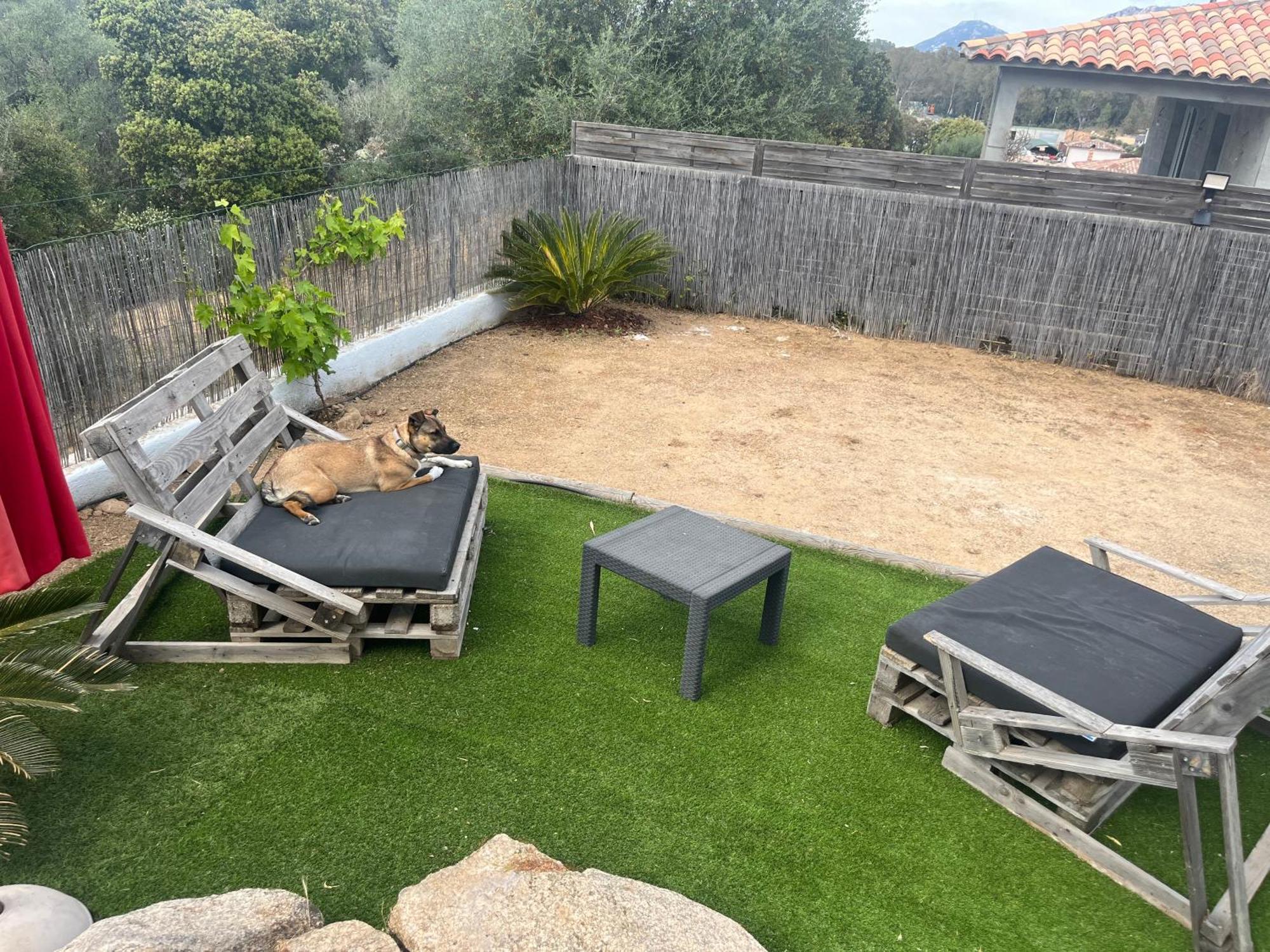 Villa Orethaga Piscine 10 Pers Porto Vecchio 外观 照片
