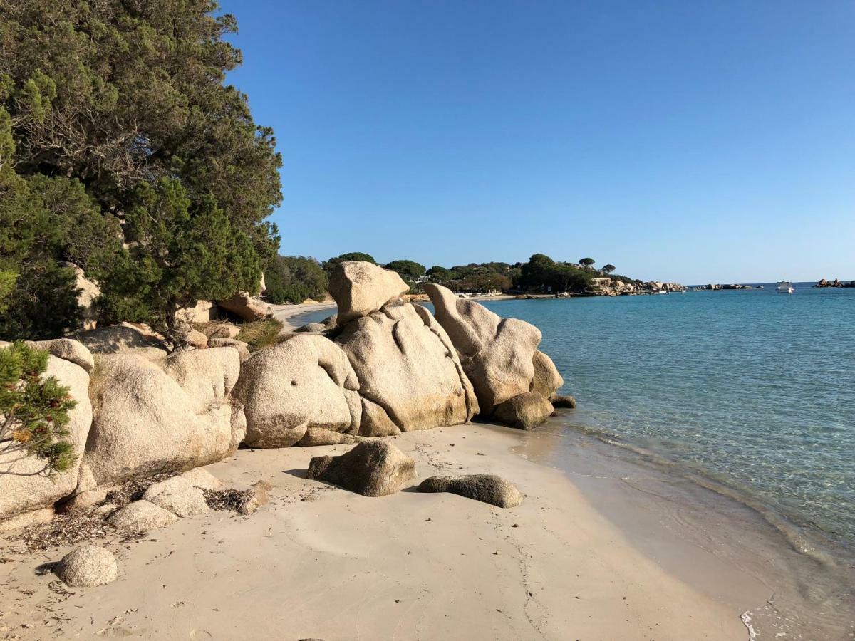 Villa Orethaga Piscine 10 Pers Porto Vecchio 外观 照片