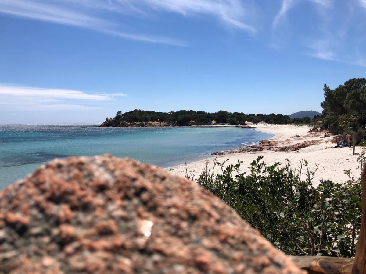 Villa Orethaga Piscine 10 Pers Porto Vecchio 外观 照片